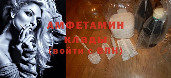 мдпв Инсар