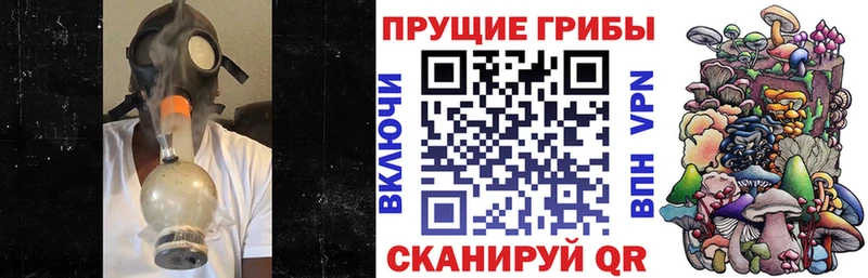 как найти   Кохма  Галлюциногенные грибы Magic Shrooms 