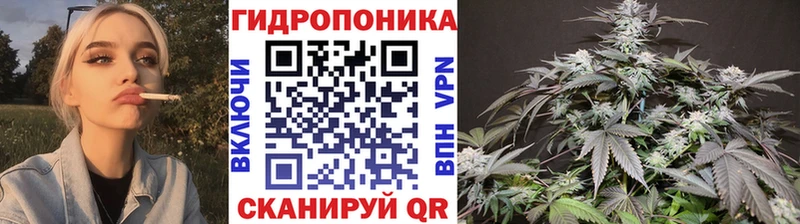 Каннабис SATIVA & INDICA  где продают наркотики  Кохма 
